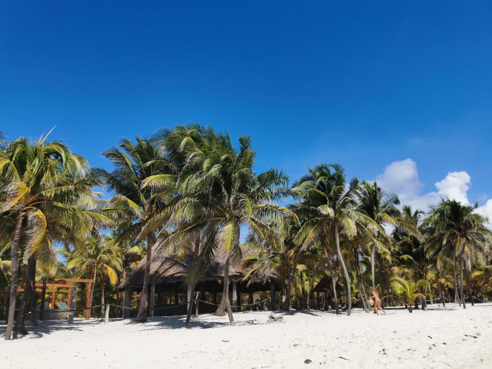 Strand TRS Yucatan Hotel - Adults only