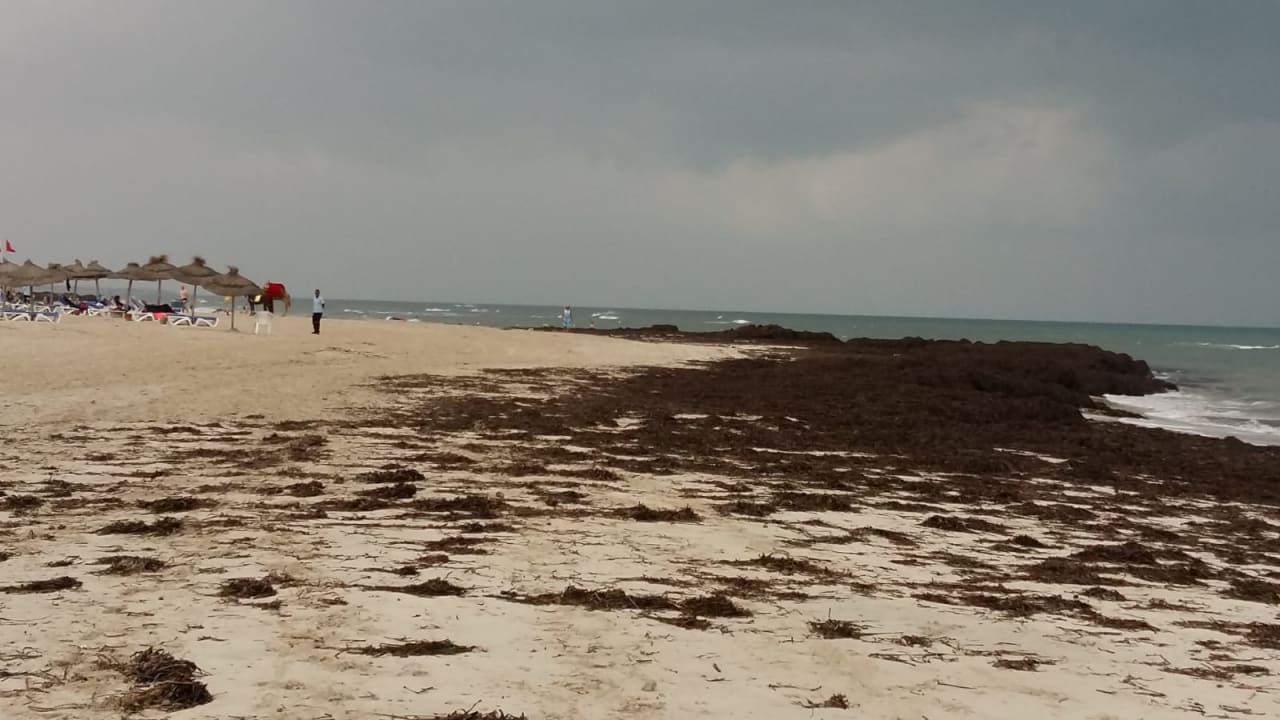 Strand Calimera Yati Beach