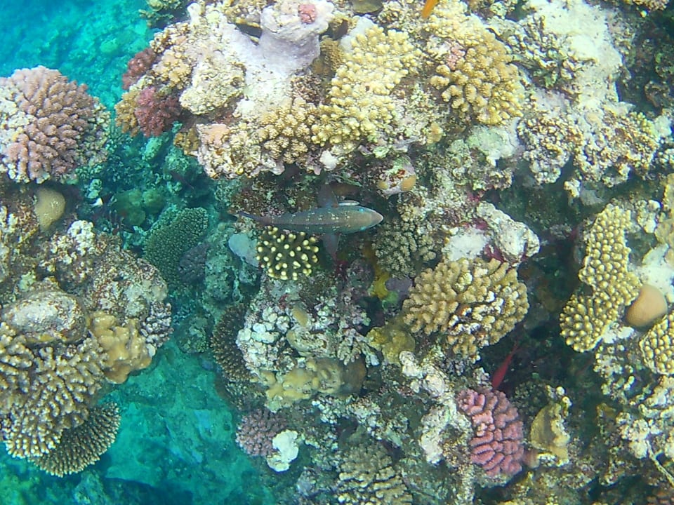 Strand Three Corners Sea Beach Resort