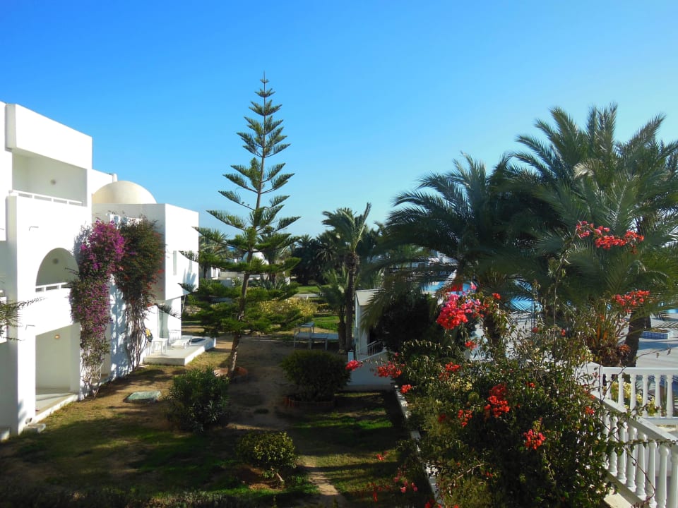 Belles fleurs Hotel El Mouradi Djerba Menzel