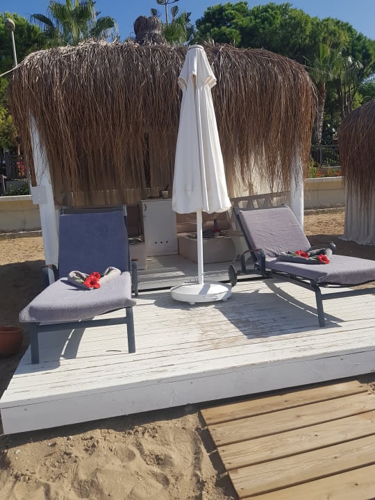 Strand PALOMA Perissia