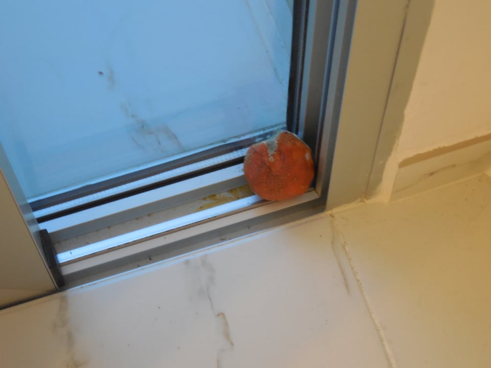 Zimmer Hotel Europalace