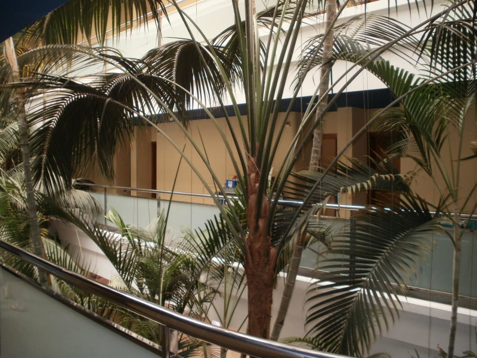 Wygląd zewnętrzny IFA Villas Altamarena