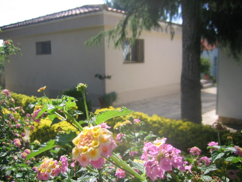 Bepflanzung zwischen den Häusern Bungalow Park Colibri