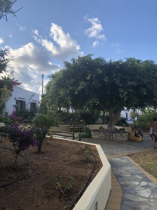 Gartenanlage TUI SUNEO Chrissi Amoudia