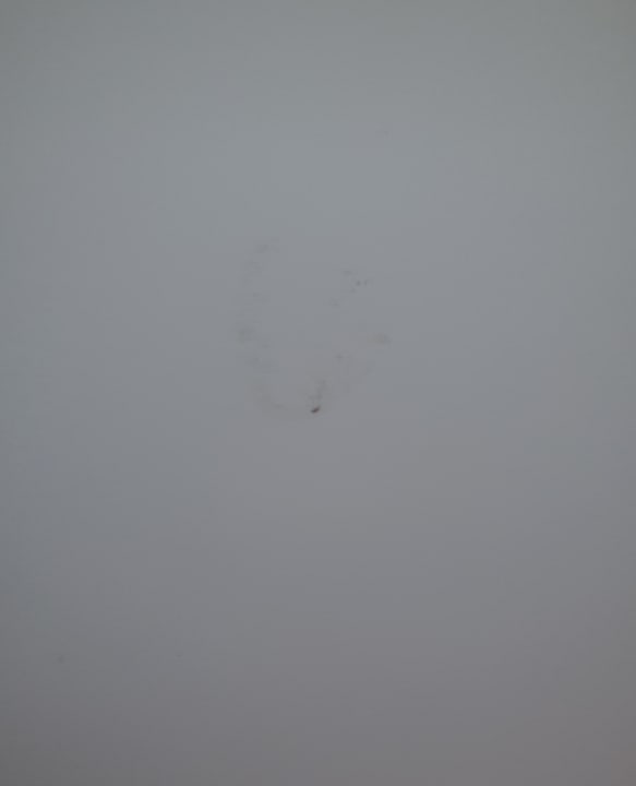 Zimmer allsun App.-Hotel Orient Beach