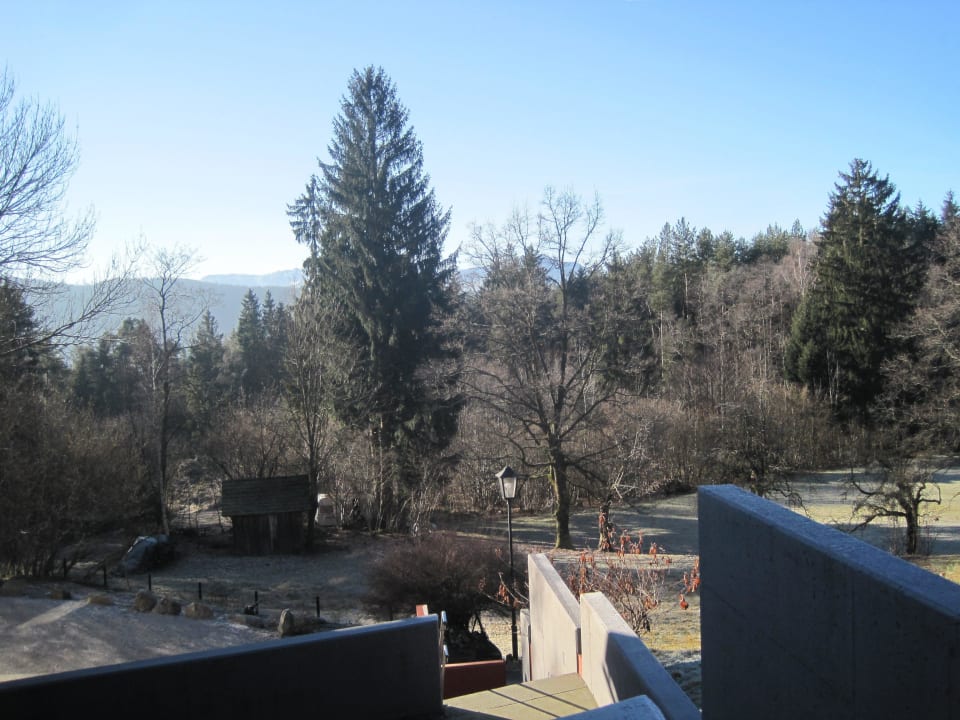 Blick von Balkon Chalet Forstbauer