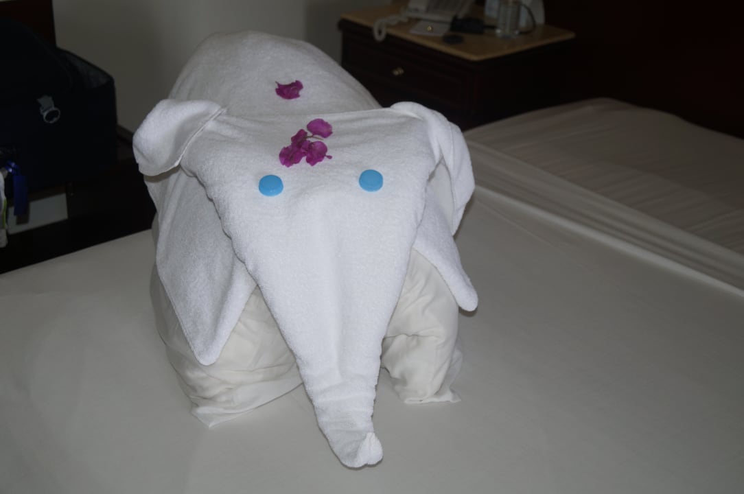 Zimmer Malikia Resort Abu Dabbab