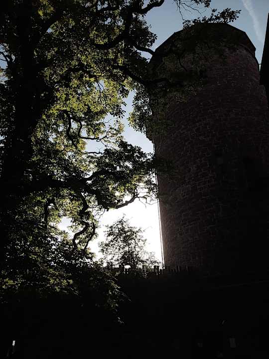Außenansicht Burghotel Trendelburg