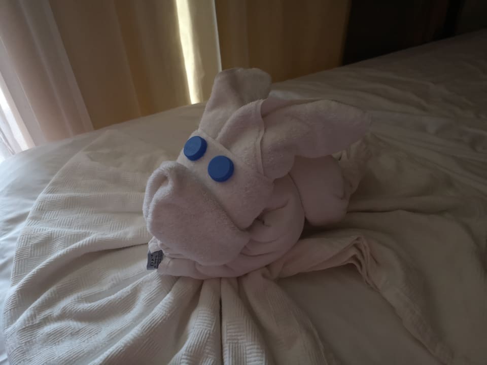 Zimmer Limak Limra Hotel & Resort