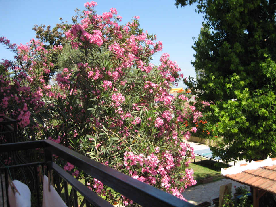 Vom Balkon Hotel Truva