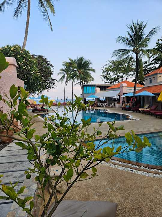 Pool Baan Samui Resort