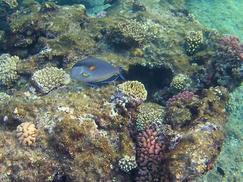 Strand Three Corners Sea Beach Resort