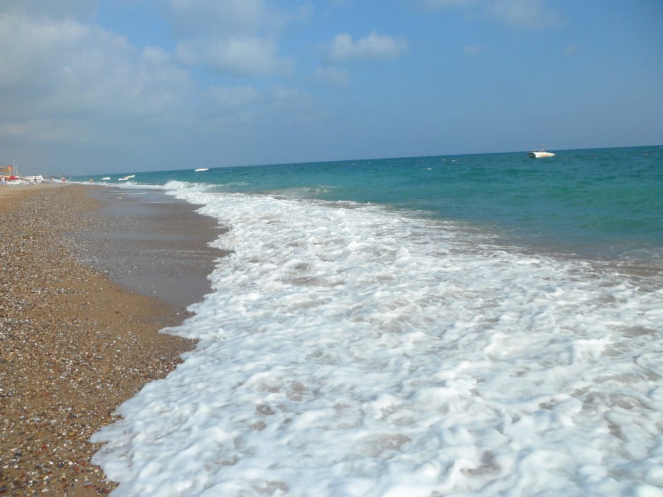 Strand Marvida Family Eco