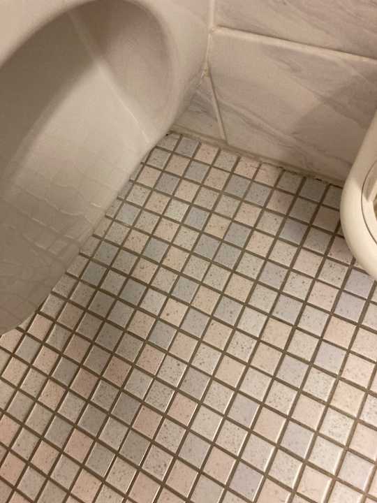 Zimmer Best Western Parkhotel Brehna - Halle