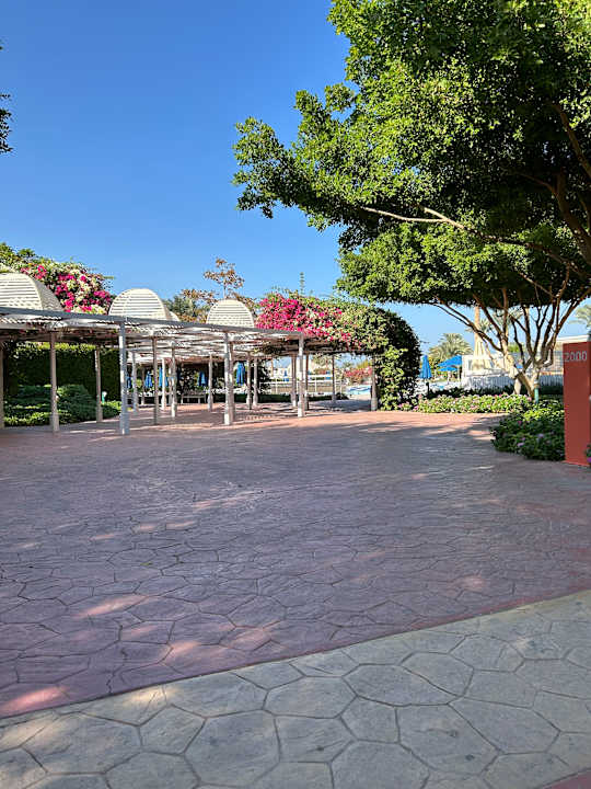 Außenansicht Desert Rose