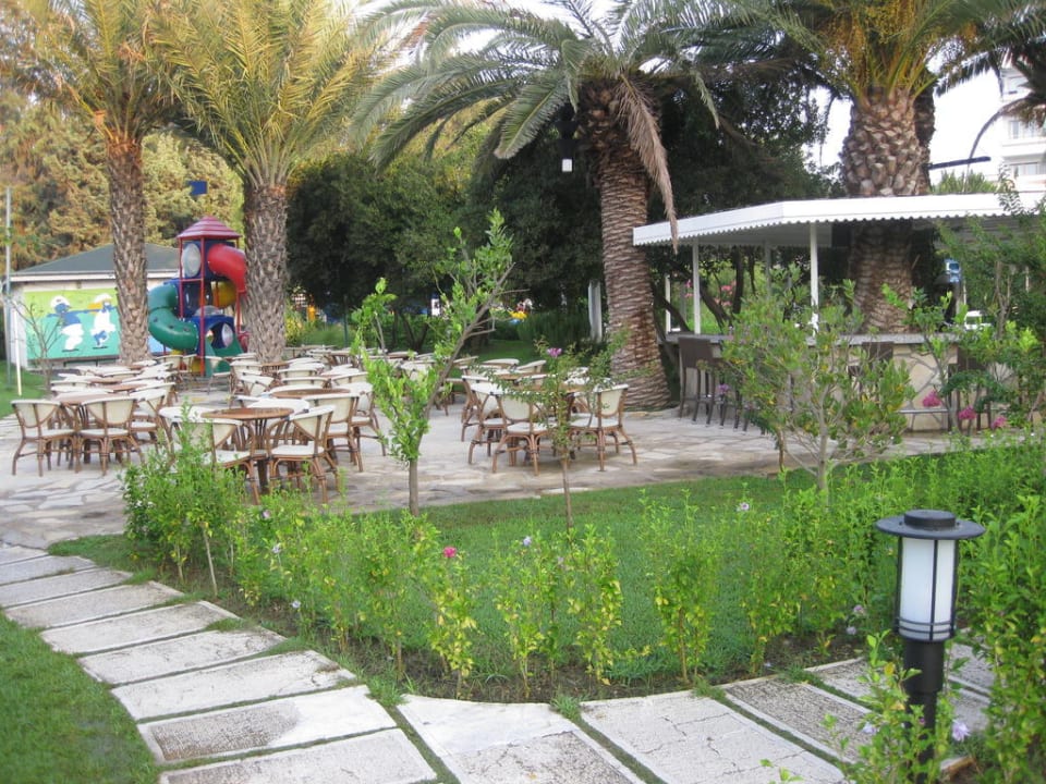 Bar Asteria Collection Side