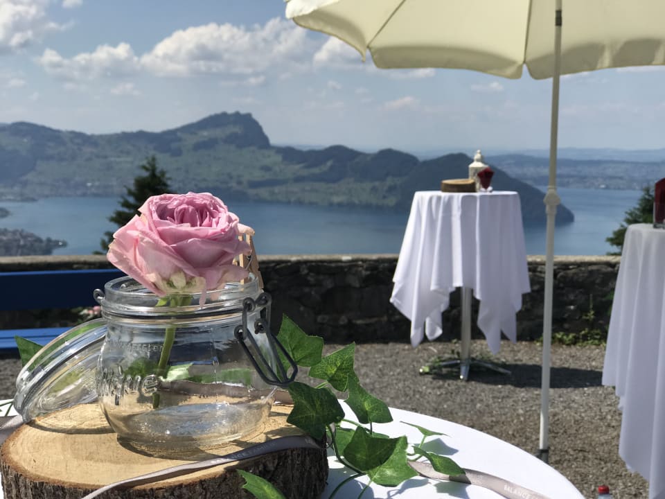 Sonstiges Seeblick Höhenhotel