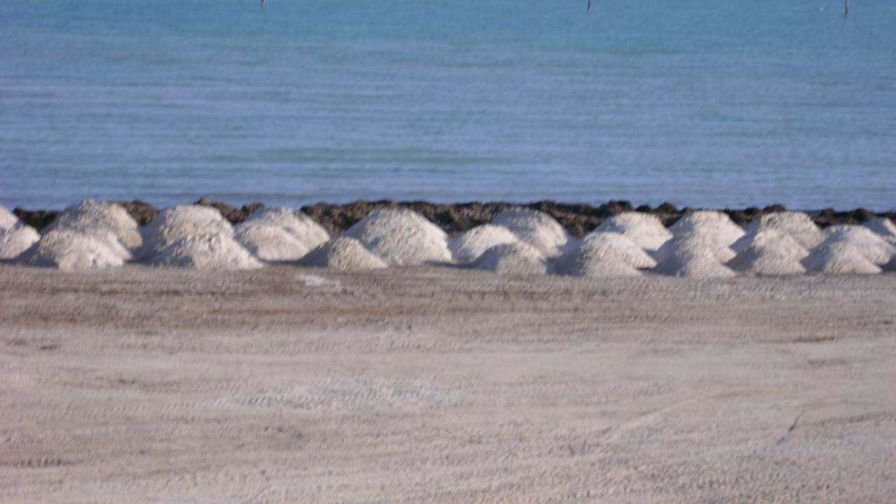 Strand mit Algen Hotel Bravo Djerba