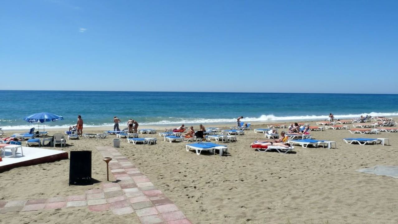 Hotel Kleopatra Dreams Beach Hotel Kleopatra Dreams Beach