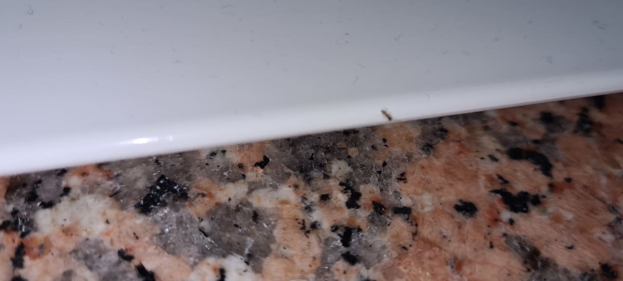 Zimmer HL Miraflor Suites Hotel