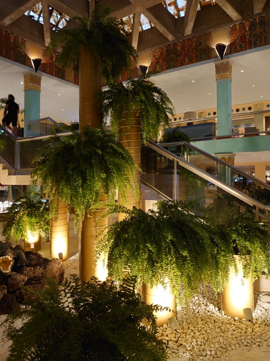 Lobby Iberostar Selection Fuerteventura Palace