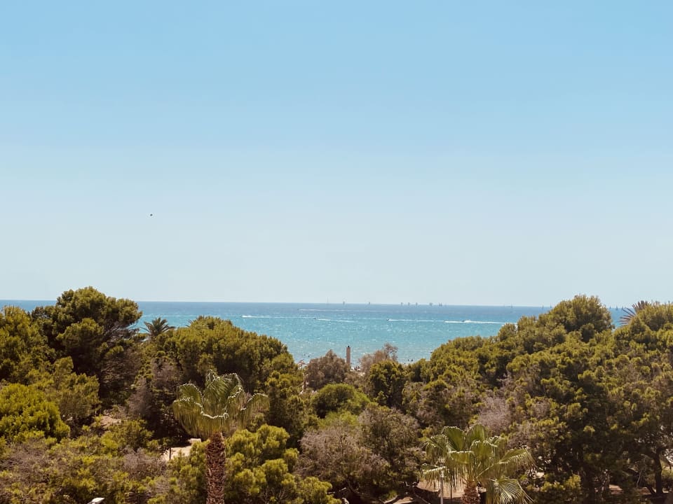 Ausblick Aparthotel Houm Plaza Son Rigo