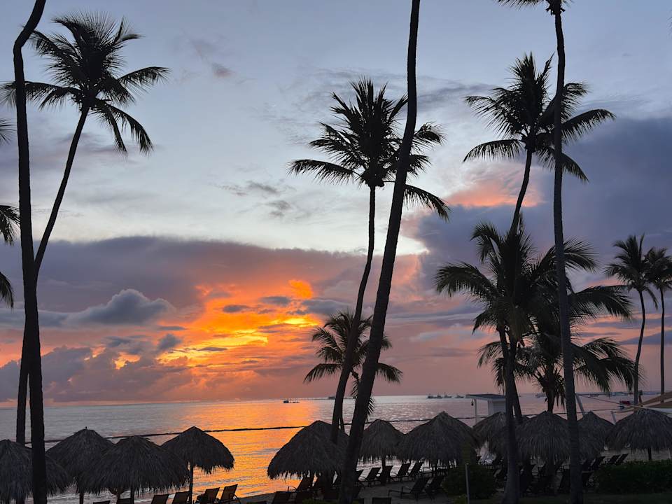 Strand Dreams Flora Resort & Spa - All Inclusive