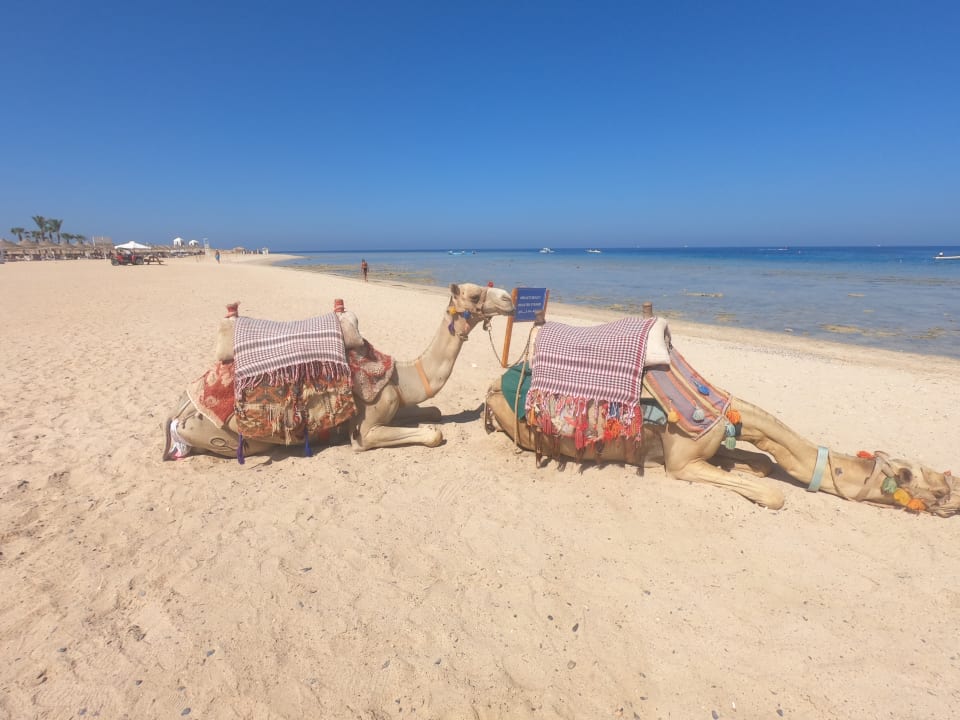 Strand Hilton Marsa Alam Nubian Resort