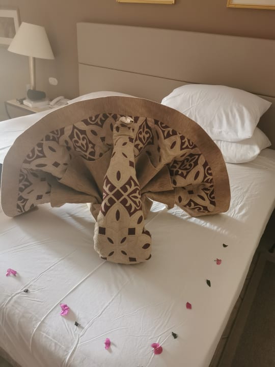 Zimmer Jaz Makadi Saraya Resort