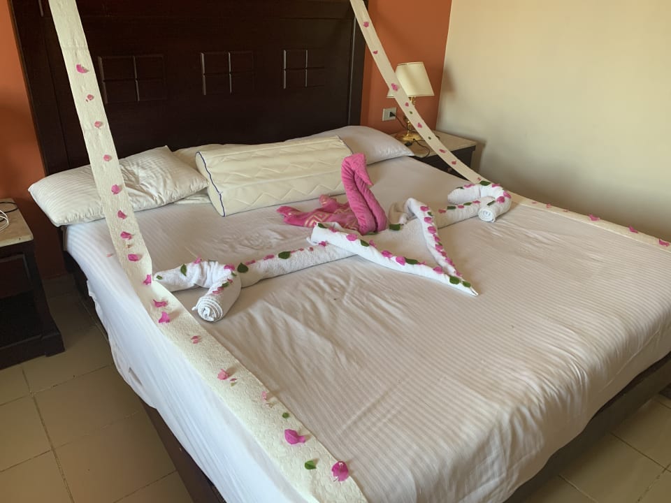 Zimmer Riviera Aqua Park Resort