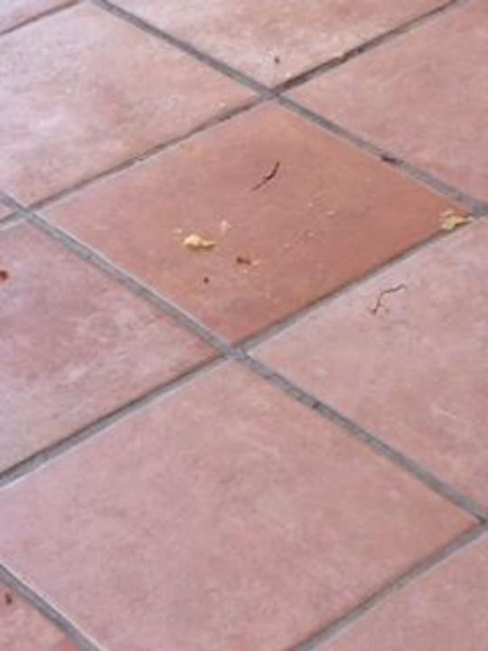 Boden im Restaurant  alltoura Club Hotel Porto Angeli Beach Resort