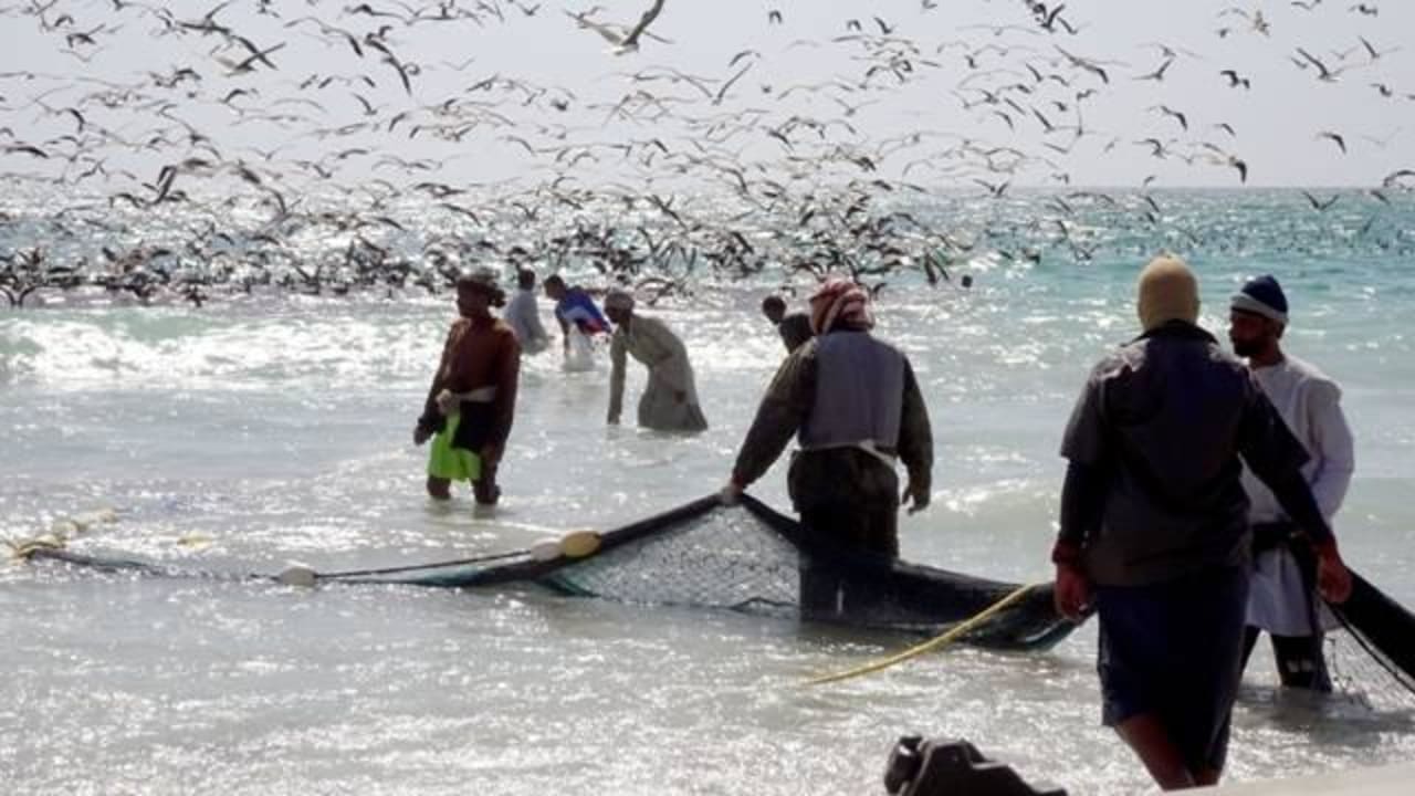 Animation Pêcheurs-2 Salalah Rotana Resort