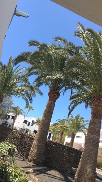 Gartenanlage Relaxia Olivina