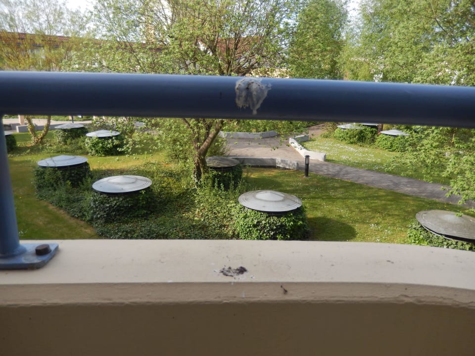 Vom ersten bis zum letzten Tag Center Parcs Park Hochsauerland