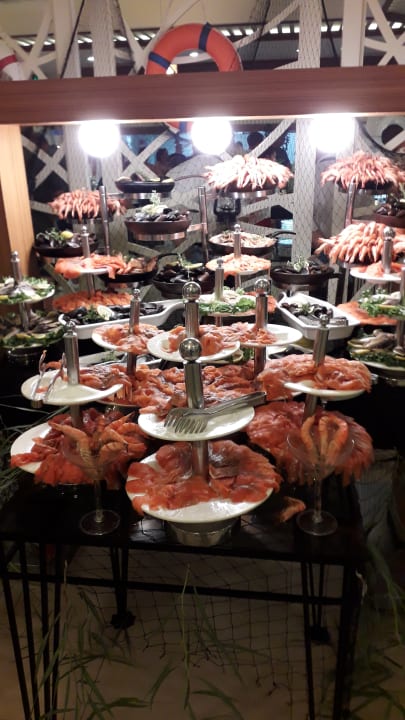 Gastro Paloma Oceana