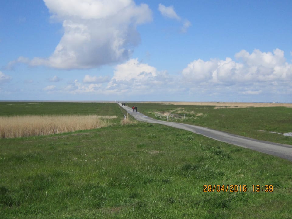 Am Deich Nordseeferienhof Katthusen