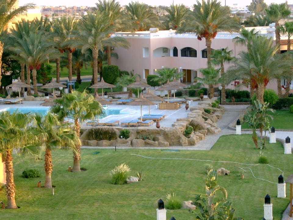 Kleine Poolanlage mit Poolbar Beach Albatros Resort