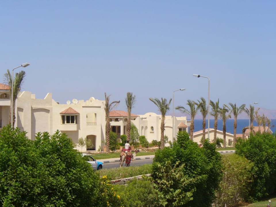 Widok z pokoju Amphoras Blu