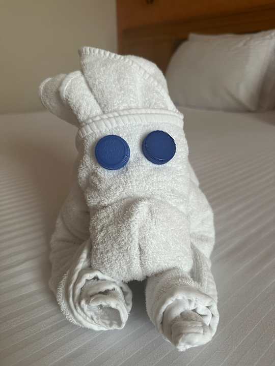 Zimmer Pharaoh Azur Resort