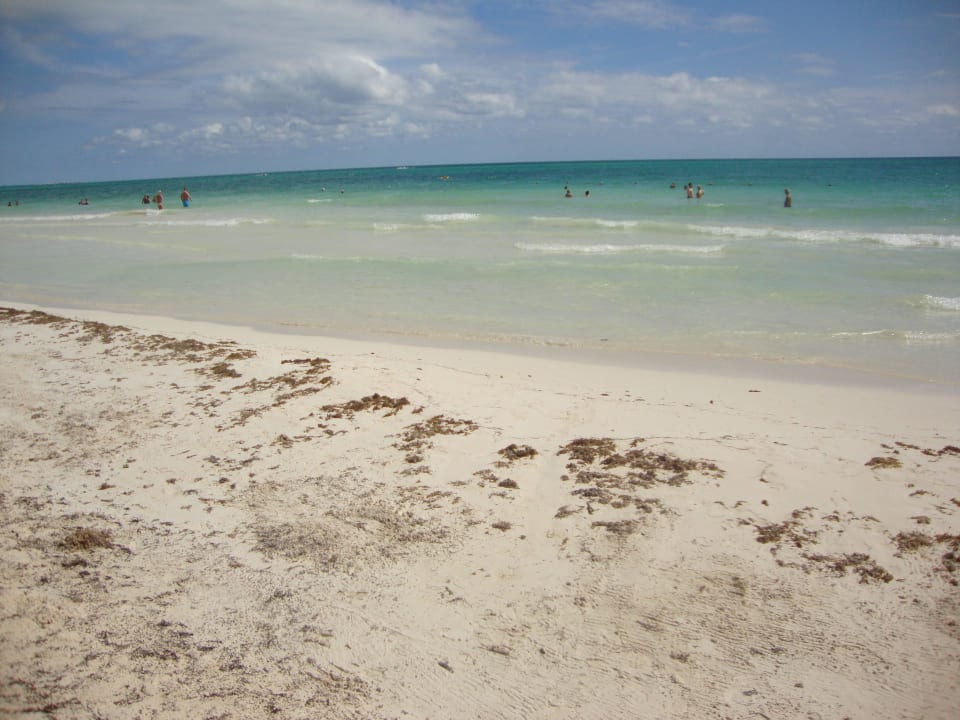 Hotel Catalonia Playa Maroma Catalonia Playa Maroma