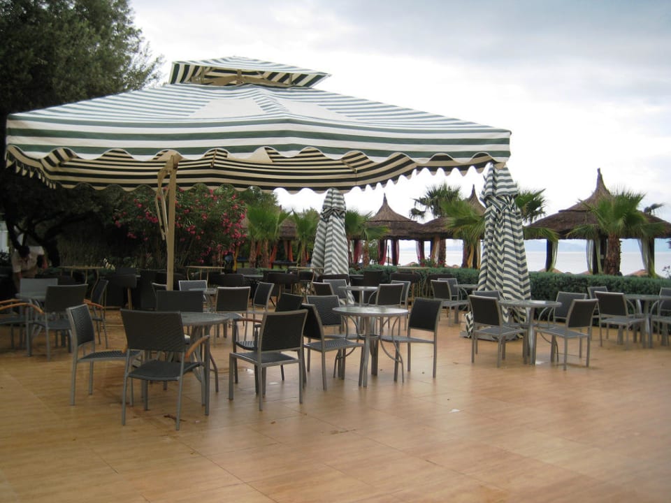 Bar Latanya Park Resort