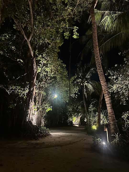 Zimmer Kuredu Island Resort & Spa