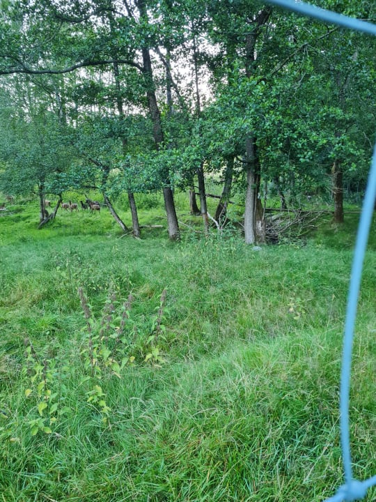 Gartenanlage Hotel Gut Schmelmerhof