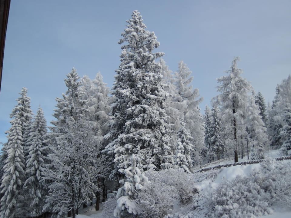 Blick vom Balkon Almwellness Hotel Pierer