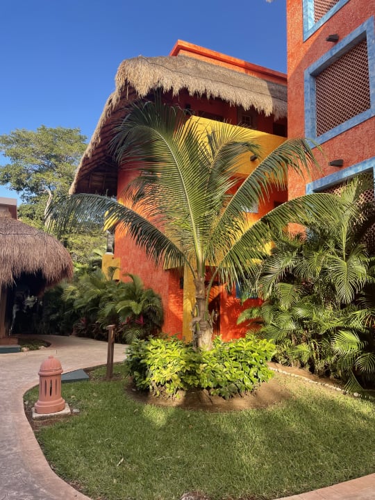 Gartenanlage Iberostar Waves Tucan