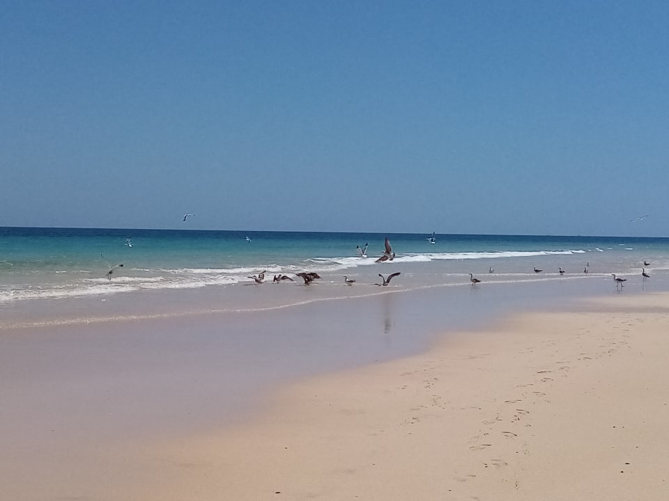 Strand Iberostar Selection Fuerteventura Palace