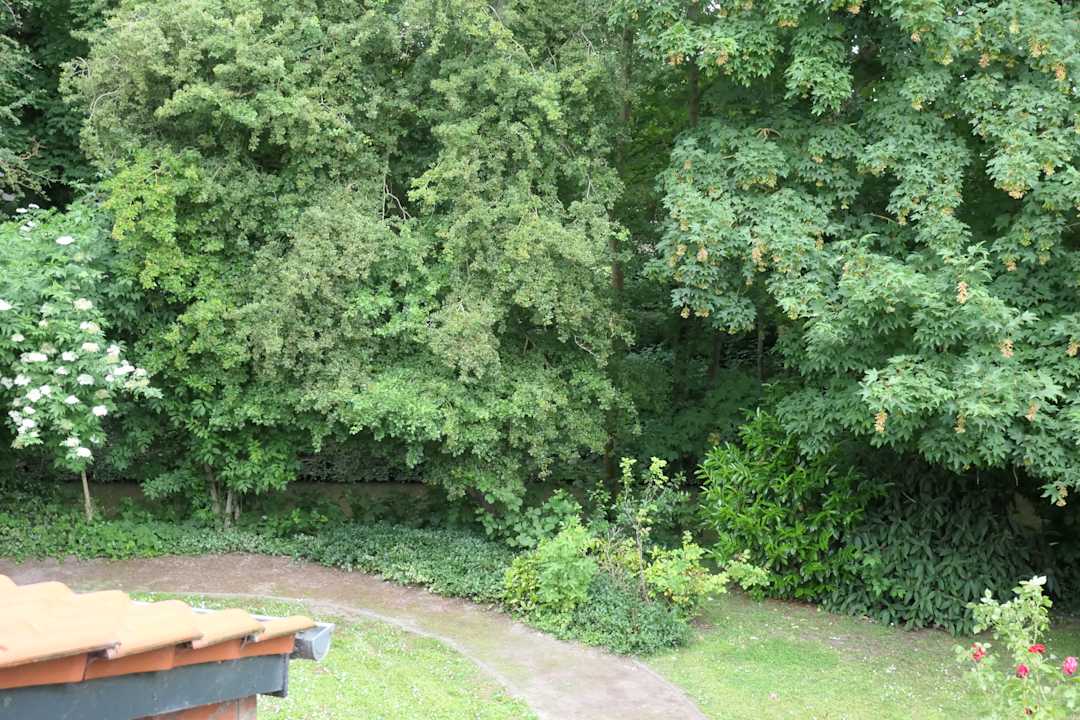 Ausblick Architektenhaus am Pewsumer Tief