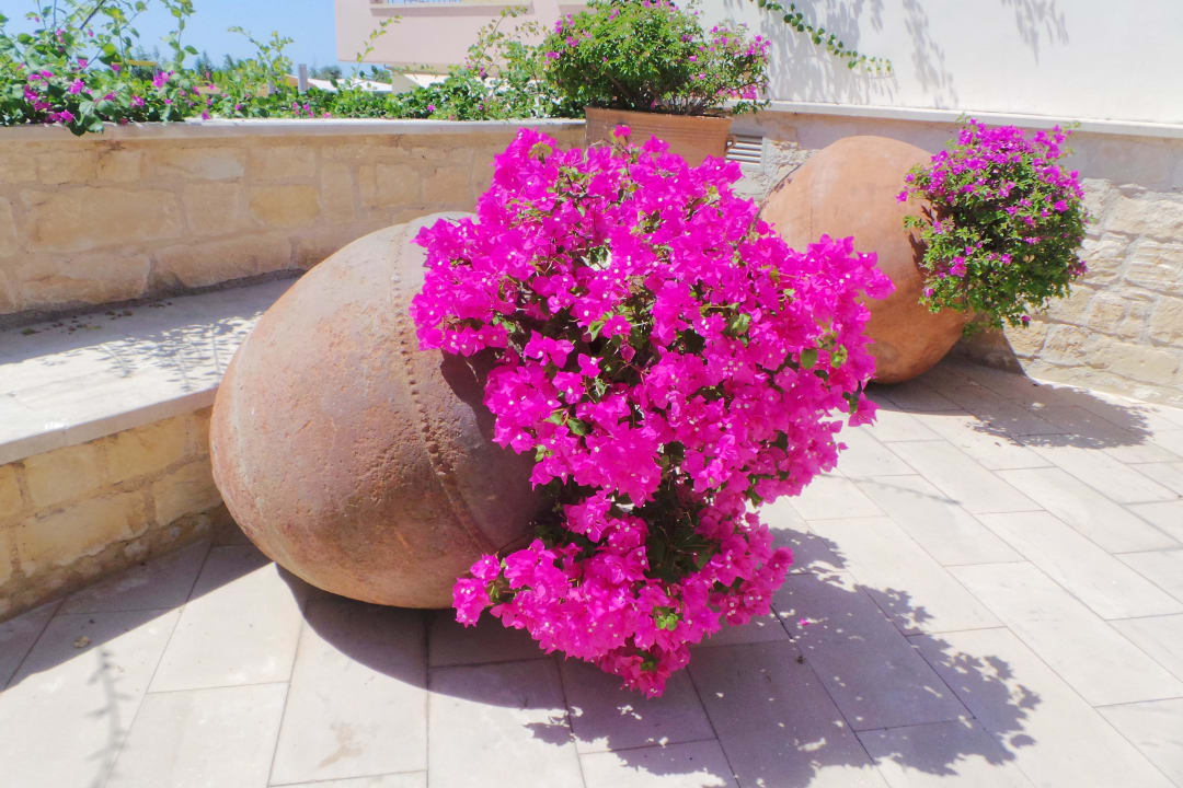 Schönster Urlaub 2014 Zypern Aphrodite Hills Hotel