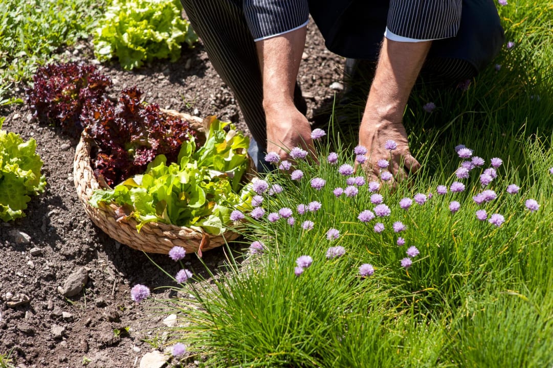 Garten Hotel Ultnerhof